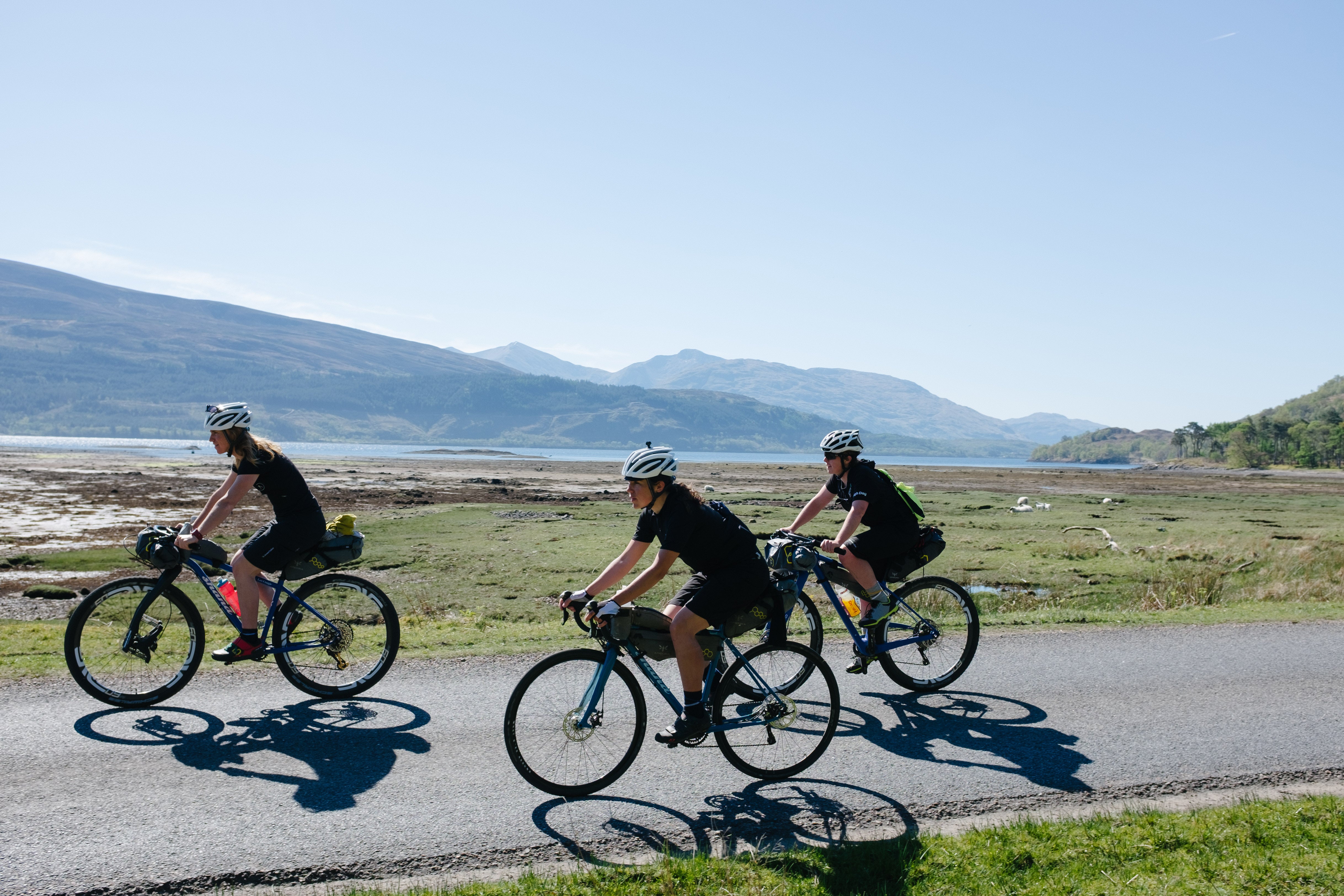 Great savings – Walk Wheel Cycle Trust Shop