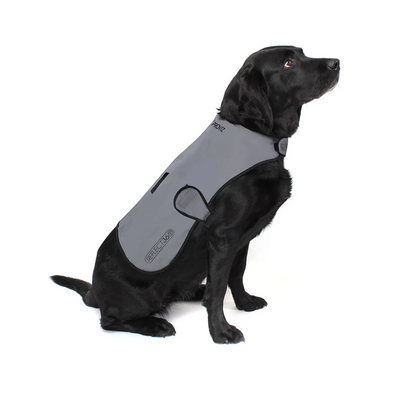 Dog wearing waterproof, fleece lined dog coat by Proviz
