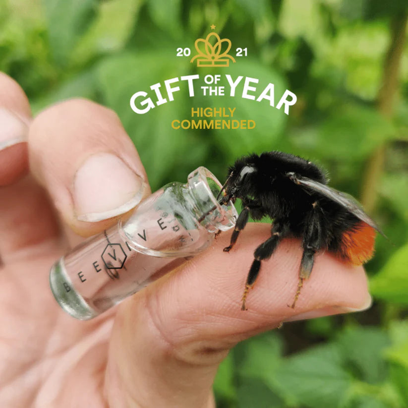 Original Bee Revival Kit with ID tag