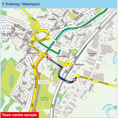 Town centre sample: Y Trallwng / Welshpool 