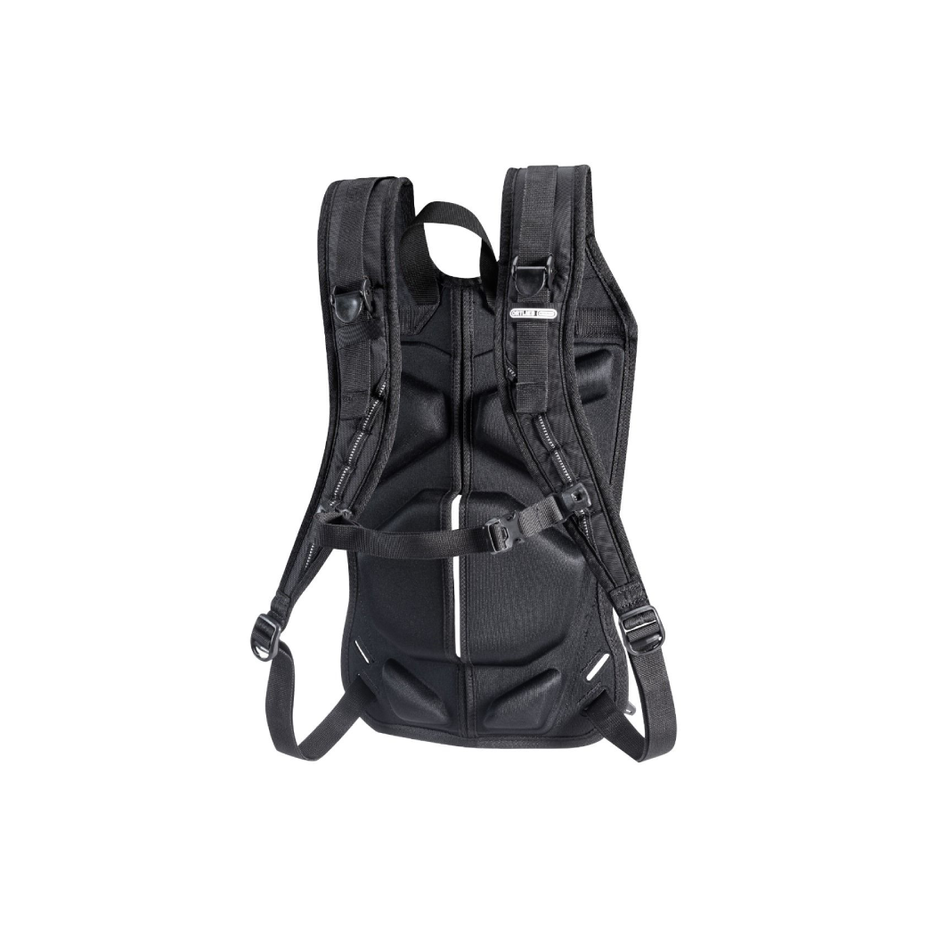 Carrying system for ortlieb pannier